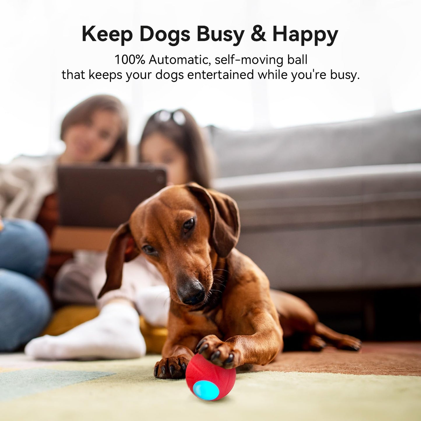 Cheerble Smart Interactive Dog Toys, [Enhanced Rubber] Wicked Ball SE, 3 Interactive Modes, Active Rolling Dog Toy with LED Lights, Self Moving Bouncing Rotating Ball (Small Dog)