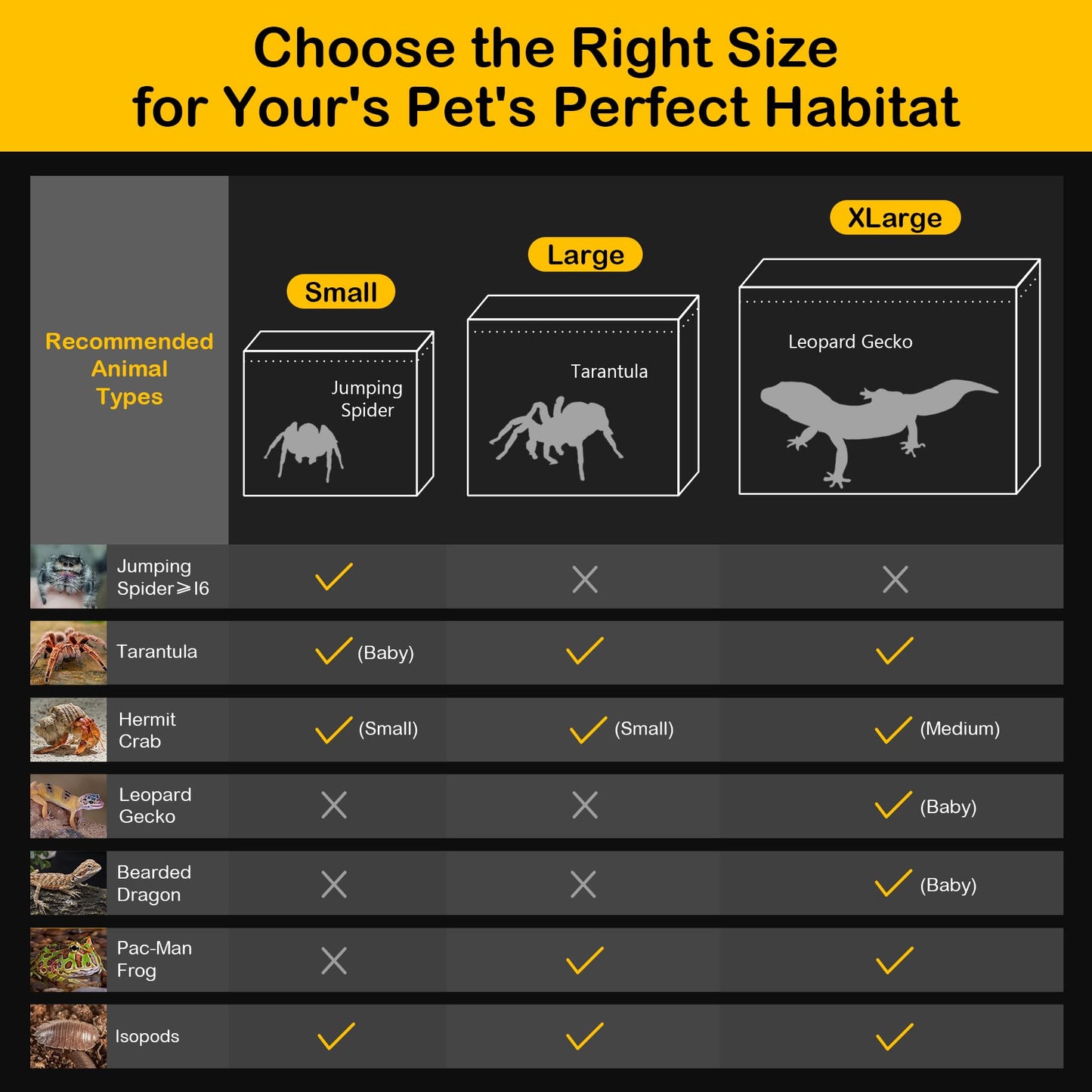 Clioran Reptile PC Terrarium,Spider Tank Starter Kit,Leopard Gecko Container,Tarantula Cage,Hermit Crab Habitat,Lizard Enclosure,Insect Housing,Jumping Spider Enclosure,Small Bearded Dragon Vivarium