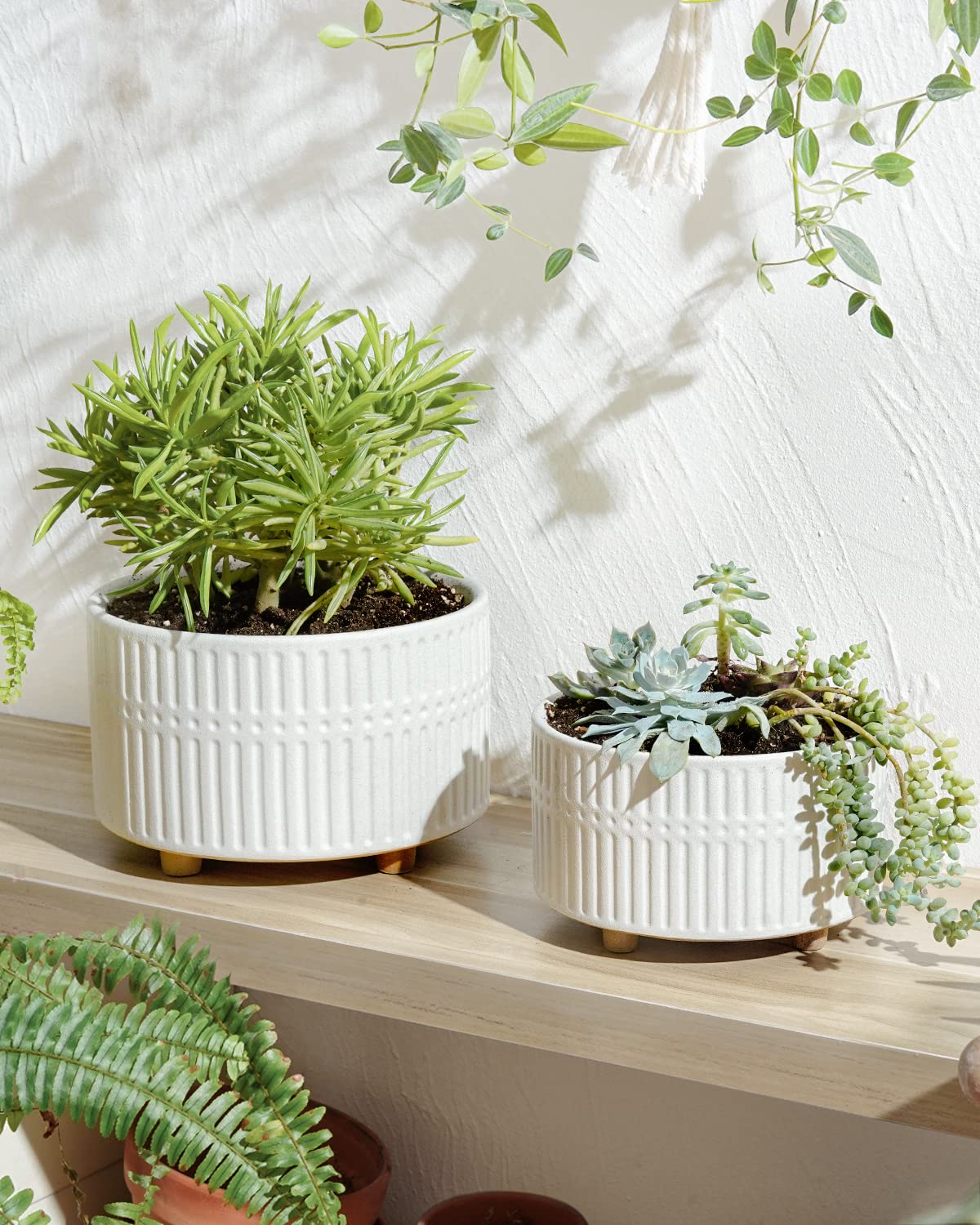 LE TAUCI Succulent Pot, Set of 2, 6.5+8 Inch Ceramic Plant Pots, Shallow Planters for Indoor Plants, Plant Pots Indoor with Drainage Hole, Modern Round Pot Plante Interieur, Gifts for Mom, White