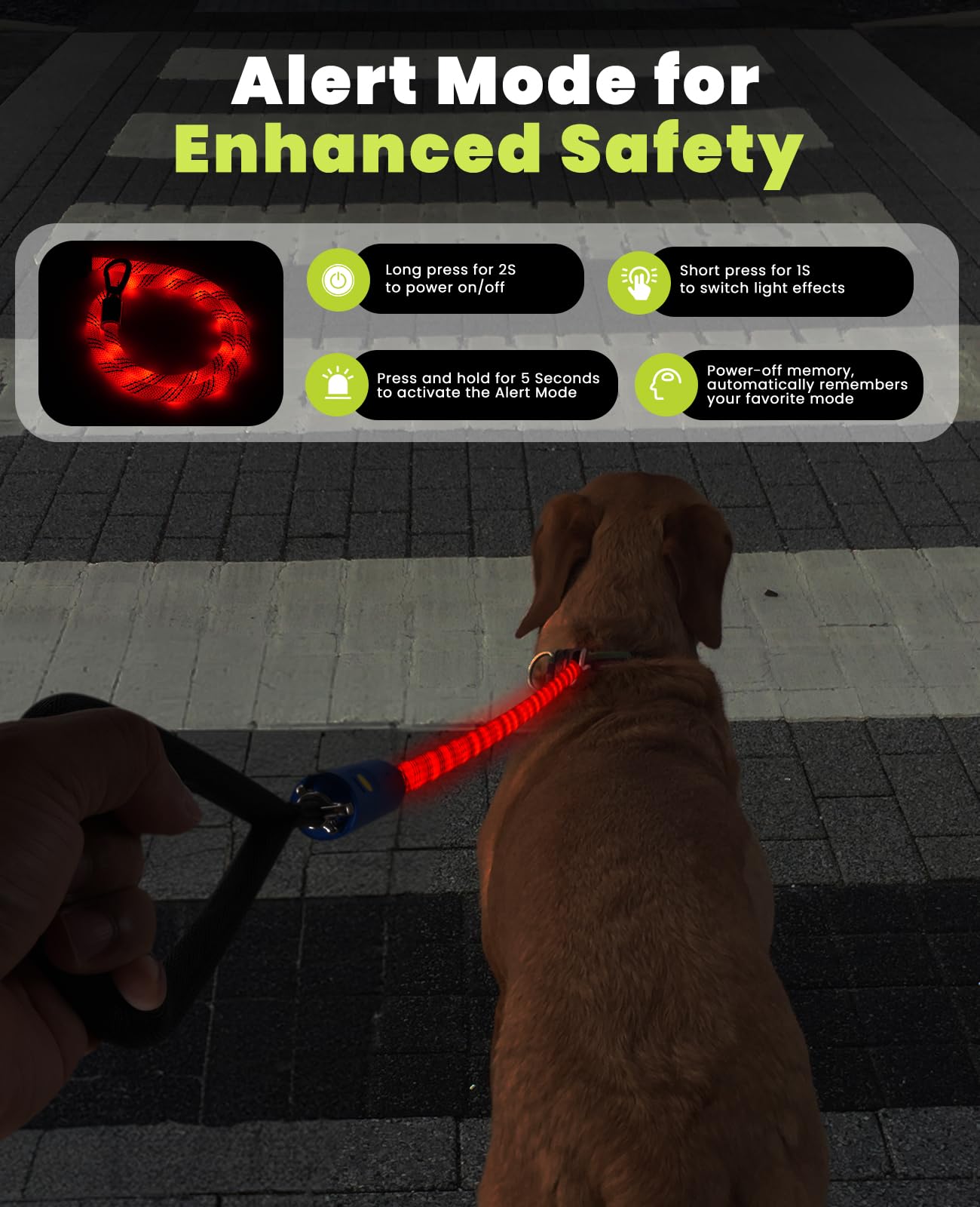 Light Up Dog Leash, LED Pet Leash for Night Walking,13 Lighting Modes, Rechargeable Dog Lights, Glow in The Dark Walking Leashes with Tangle-Free Hook for Small Medium Large Dogs (1.5m)