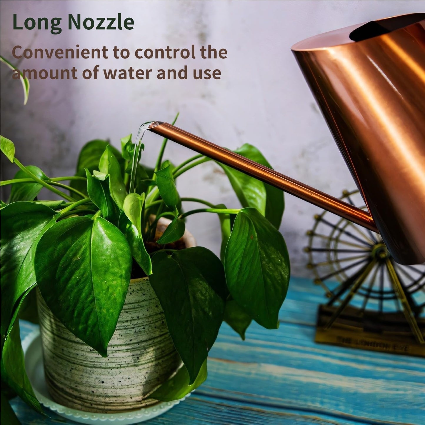 Watering Can Indoor Plants, 50 Oz/1500 Ml Decorative Long Spout Watering Cans for Indoor Plants Stainless Steel Watering Pot for Succulent Bonsai Garden Flower