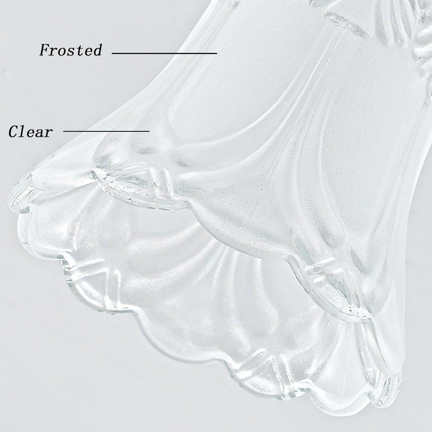 SHENGQINGTOP 4 Pack Clear & Frosted Glass Lamp Shade Replacement with 1.6"(41MM) Fitter Opening for Ceiling Fan Light Kit Wall Sconce Pendant Light Fixture