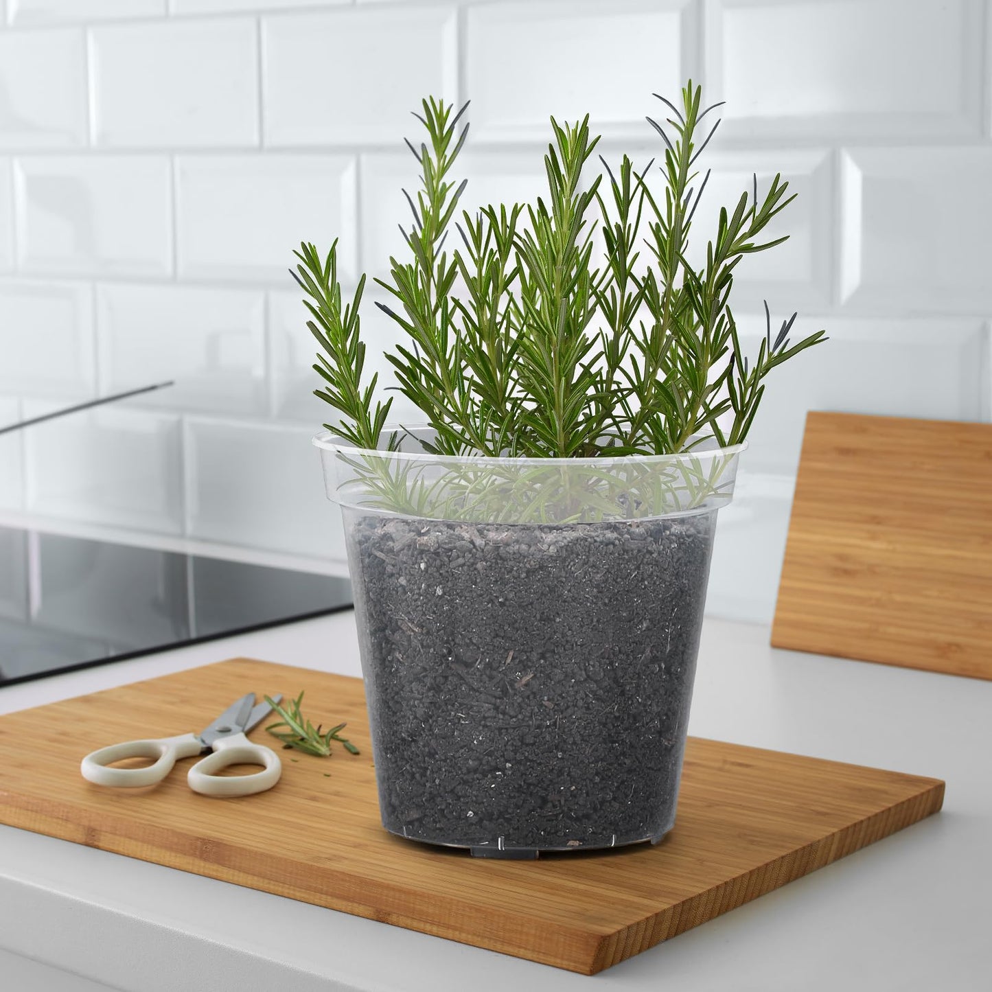 GREANER Clear Plant Pots, Plastic Planters for Indoor Plants, Seed Starting Pot with Drainage Holes, 4/5/6/7/8 Inch(10 Packs)