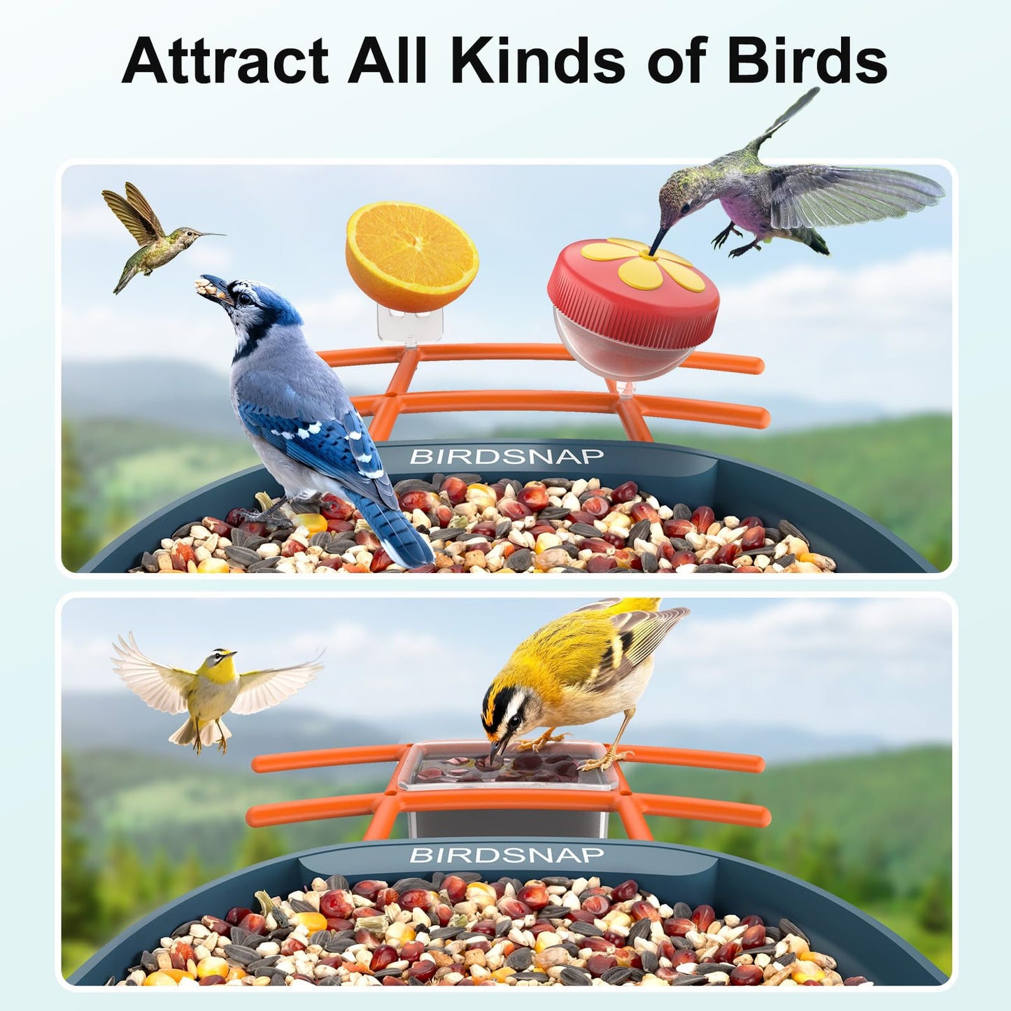 birdsnap® PAV- Smart Bird Feeder with Camera Solar Powered, 64GB Card & 2K HD Record Video Bird Camera Live with 5 DIY Add-ons, AI Identify Auto Capture, Ideal Gift for Birds Lover