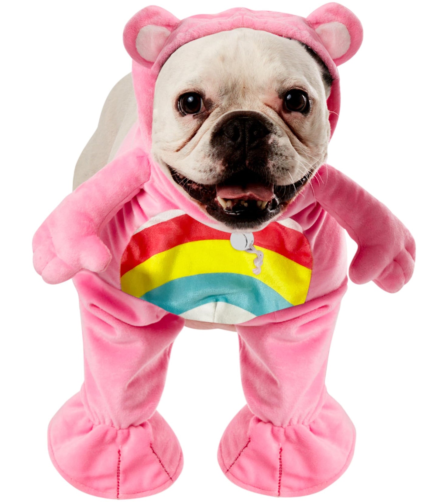 Care Bears: Cheer Bear Pet Costume for Dogs or Cats by Rubies, XL