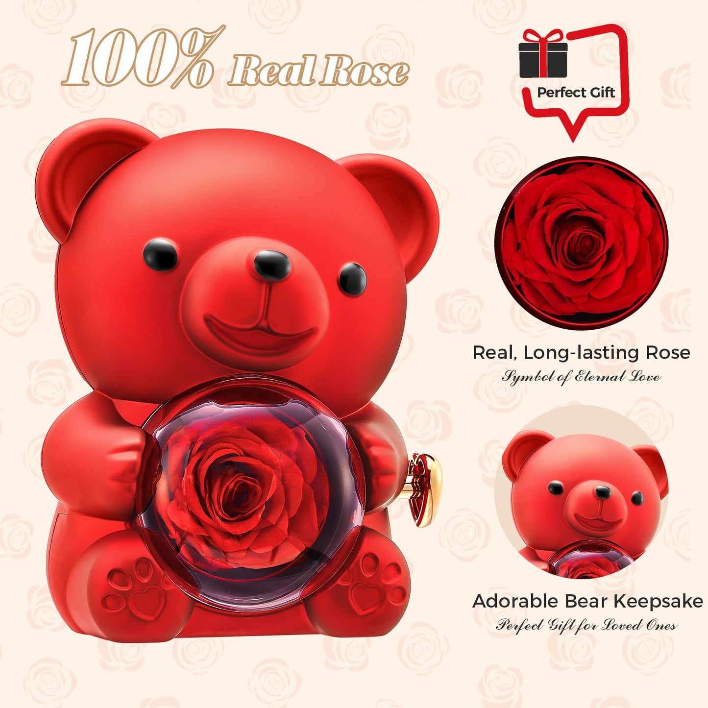 Mikasol Romantic Teddy Red Bear with Preserved Rose - Real Rose in Elegant Black Gift Box for Valentine's Day, Anniversaries, Weddings, Bridal Showers, and Mother's Day