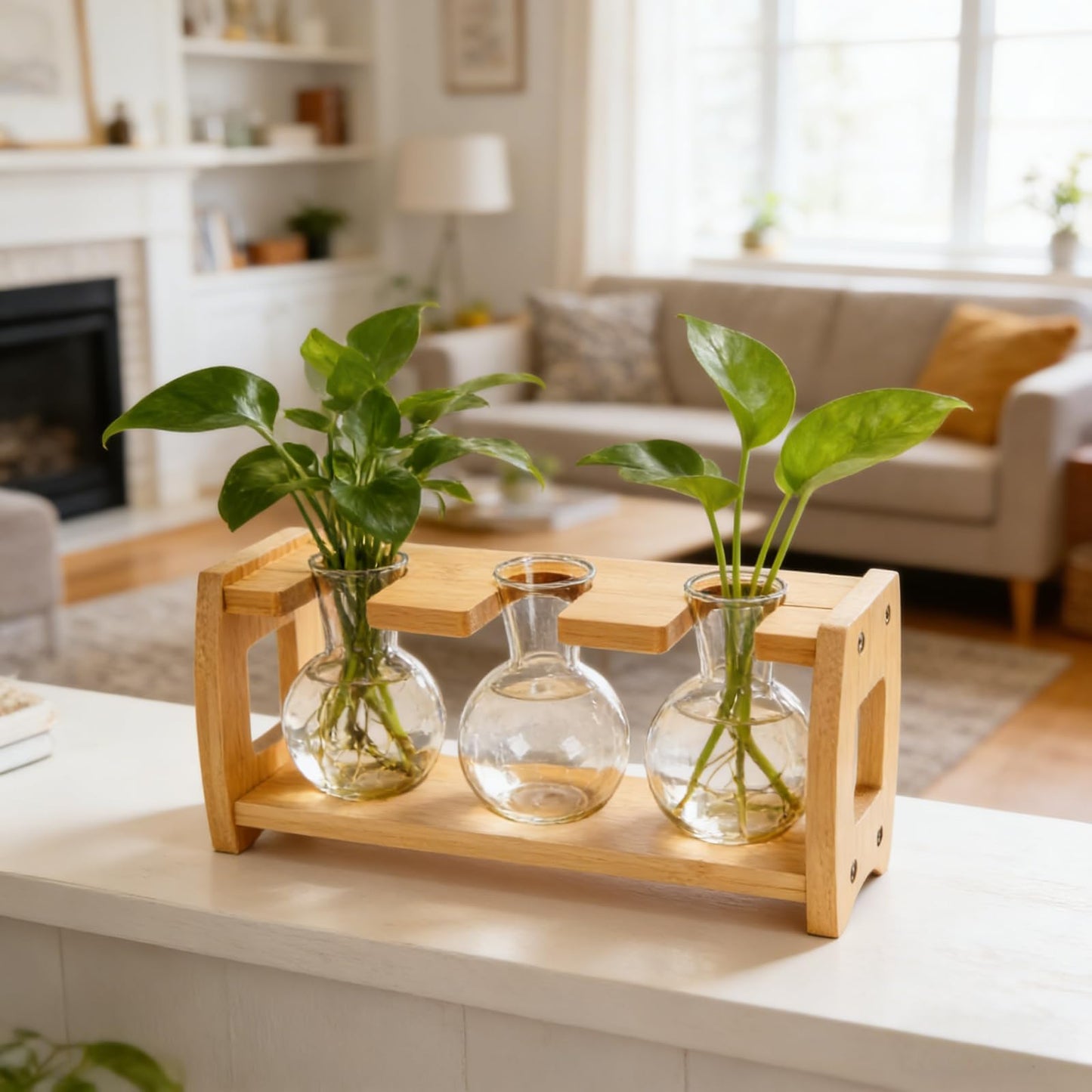 Pumtus 2 Pack Plant Propagation Stations, Desktop Plant Terrarium with Wooden Stand, Water Propagation Station, Hydroponic Plants Vase with 8 Glass Bulbs, Small Propagated Plant Jar for Home Office
