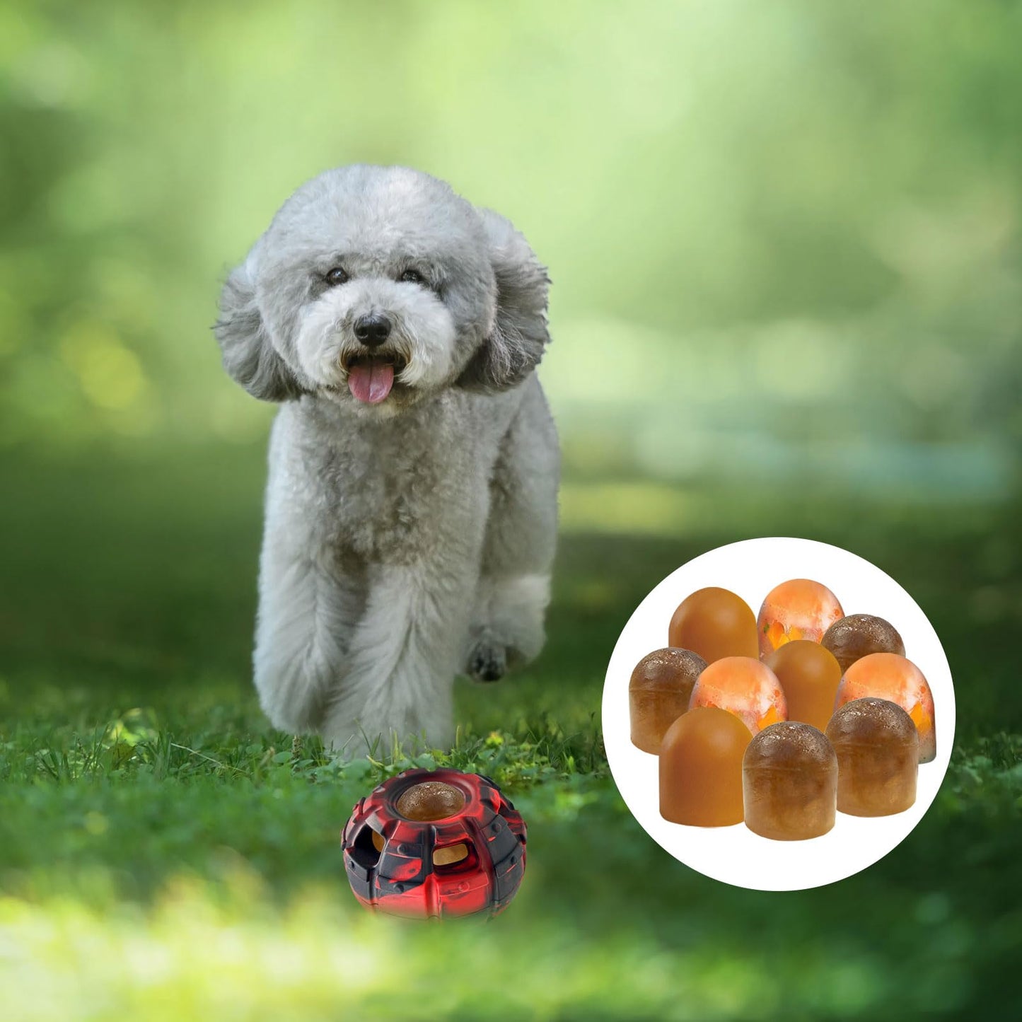 Yipetor Dog Toy, Frozen Dog Treats to Keep Dogs Busy, Interactive Treat Dispensing Dog Toy Puzzle, Interactive Chew Toys for Puppy Small Medium Dog, Power Chewer, Durable Rubber-Easy to Clean(Medium)