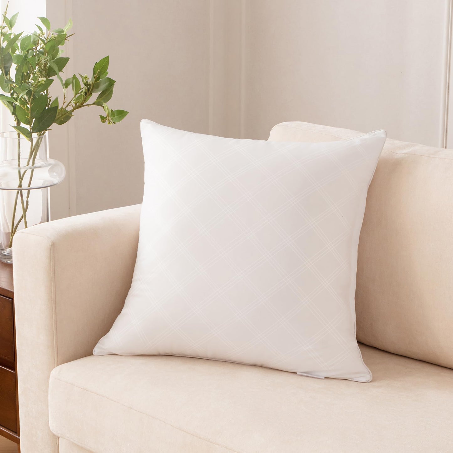 Oubonun 20x20 Inches Pack of 4 Throw Pillows Inserts, White Square Cushion Inner Soft Fluffy Plump Stuffer Pillows Inserts for Sofa Bed Couch