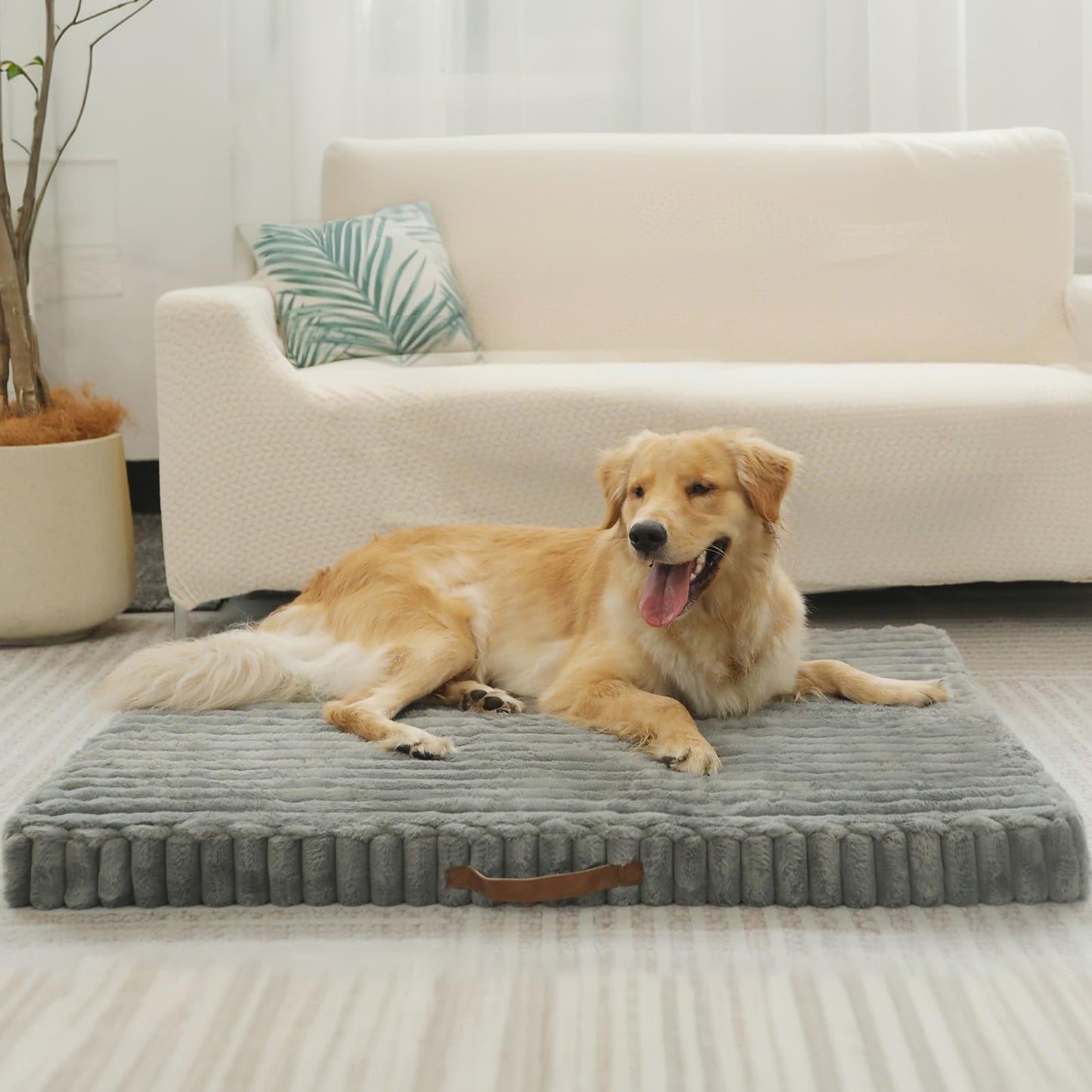 Colvay Dog Bed Large, Lit Pour Chien with Removable Machine Washable Cover, Orthopedic Dog Bed for Crate with Non-Slip Bottom, Comfy Dog Beds | Lit Chien.