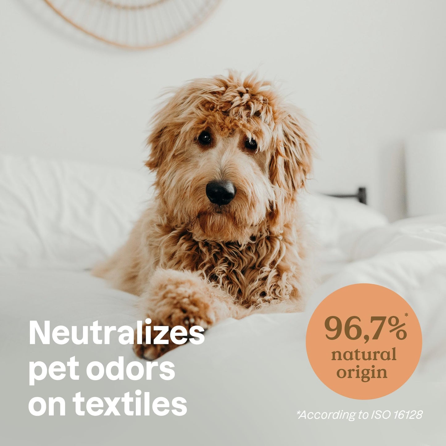 ATTITUDE Fabric Refresher for Pets, Made in Canada, Neutralizes Odors, Plant and Mineral-Based Ingredients, Vegan, Bulk Refill, Lavender, 2 Liters