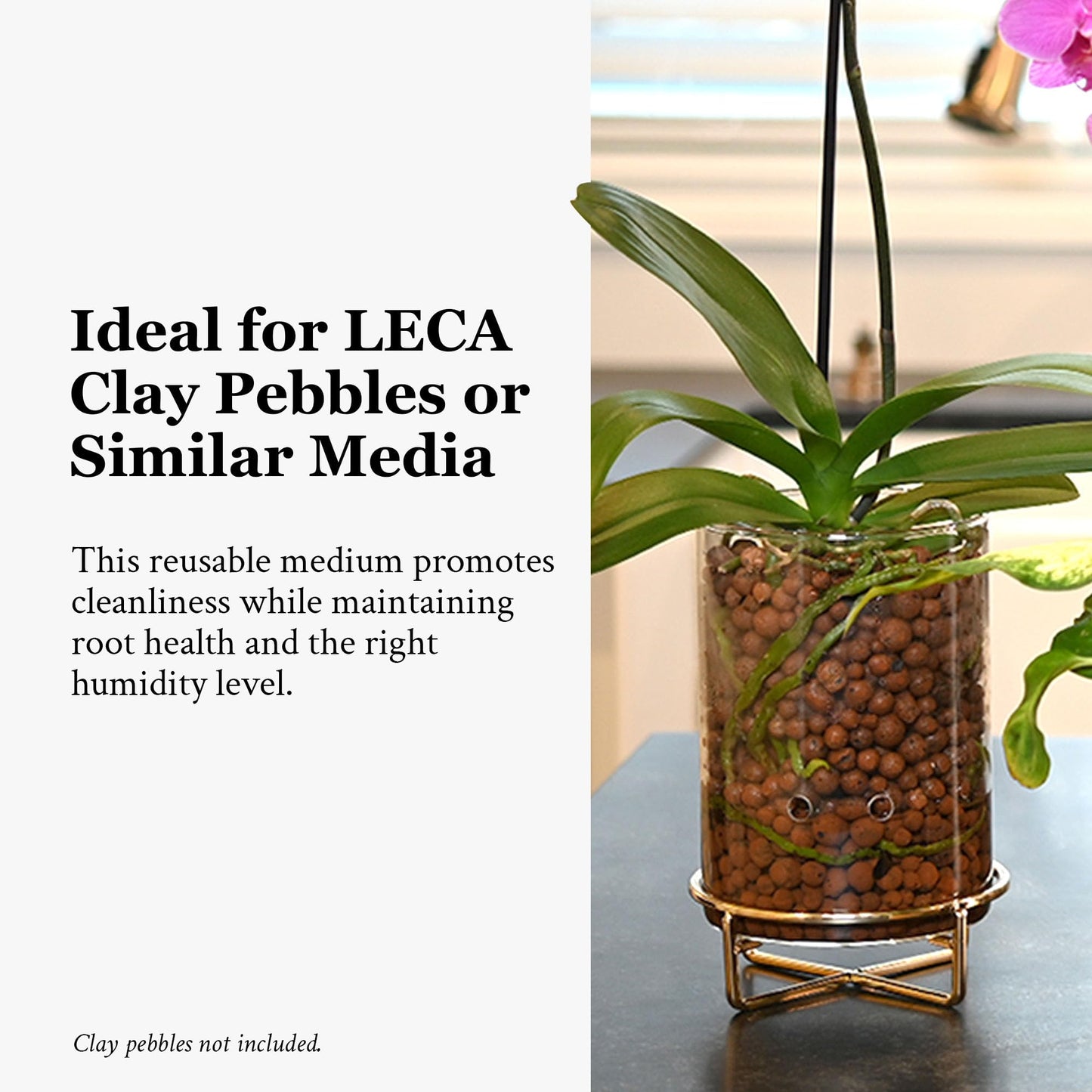 Pot & Pebble - C9 Glass Planter with Decorative Metal Base - Plant Propagation Station with Water Level Control - Plant Cutting Holder for LECA Clay Pebbles/Similar Media - Semi Hydroponic Planter