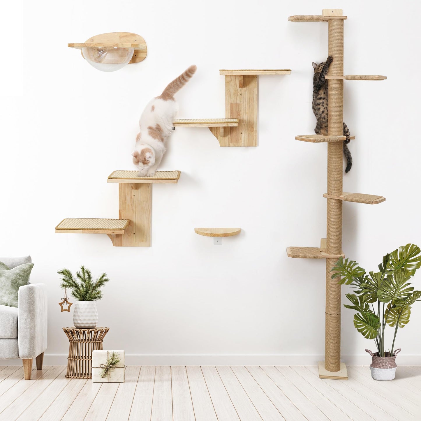 FUKUMARU Cat Wall Shelves, 2 Platform Cat Wall Furniture, Tree Shape Wall-Mounted Cat Floating Shelf with Sisal Mat, Solid Rubber Wood Cat Perch for 16 Inch Drywall, Suitable for Climb, Play, NapQQ