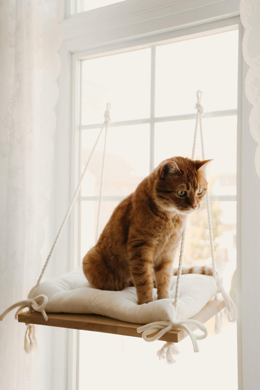 Cat Window Perch, Indoor Bed for Feline, Safety Shelves Space Saving Window-Mounted, Hammock, Sturdy Screw Suction Cups for Large Breeds & Kittens