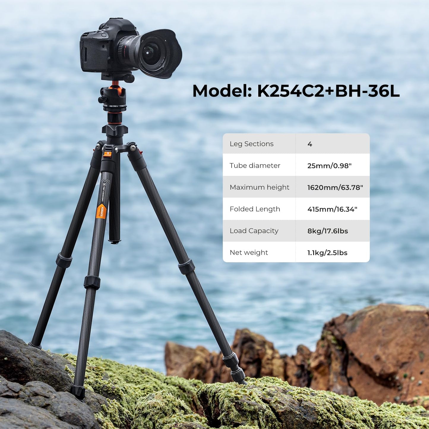 K&F CONCEPT 64 inch/163cm Carbon Fiber Camera Tripod,Lightweight Travel Tripod with 36mm Metal Ball Head Load Capacity 8kg/17.6lbs,Quick Release Plate,for DSLR Cameras Indoor Outdoor Use K254C2+BH-36L