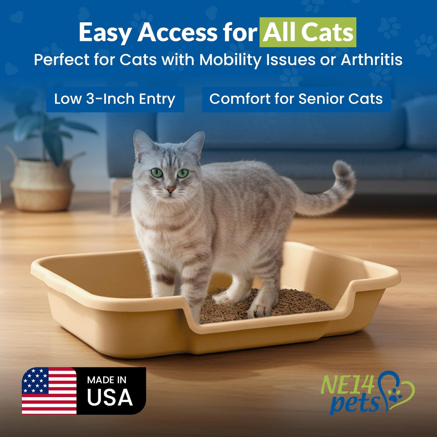 Kitty Go Here Senior Cat Litter Box for the Kitties that can't cope with a traditional litter box.