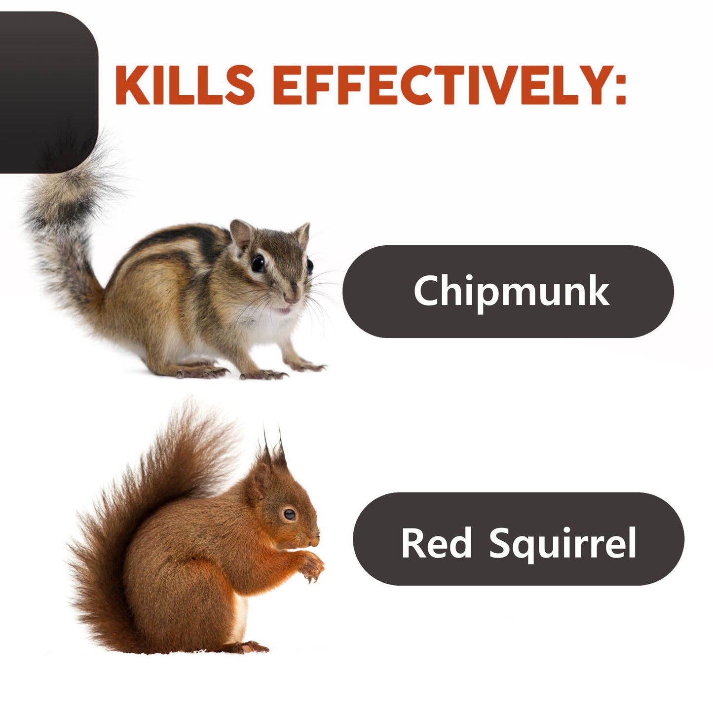 Red Squirrel Traps - Ouell Traps - Ground Squirrel Traps - Chipmunk Trap - Chipmunk Traps Outdoor - Human Trap