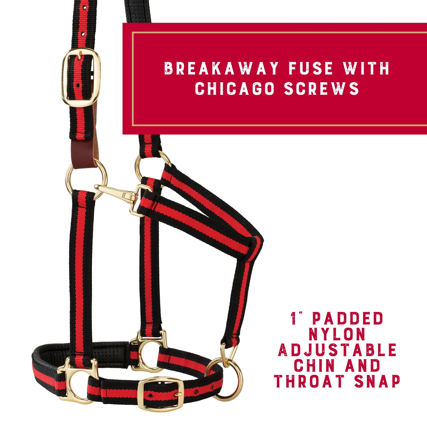 Weaver Equine Breakaway Horse Halter, Comfort Foam Padding, Adjustable Chin & Throat Snap Halters for Horses, Equine Tack,Average Size, Red
