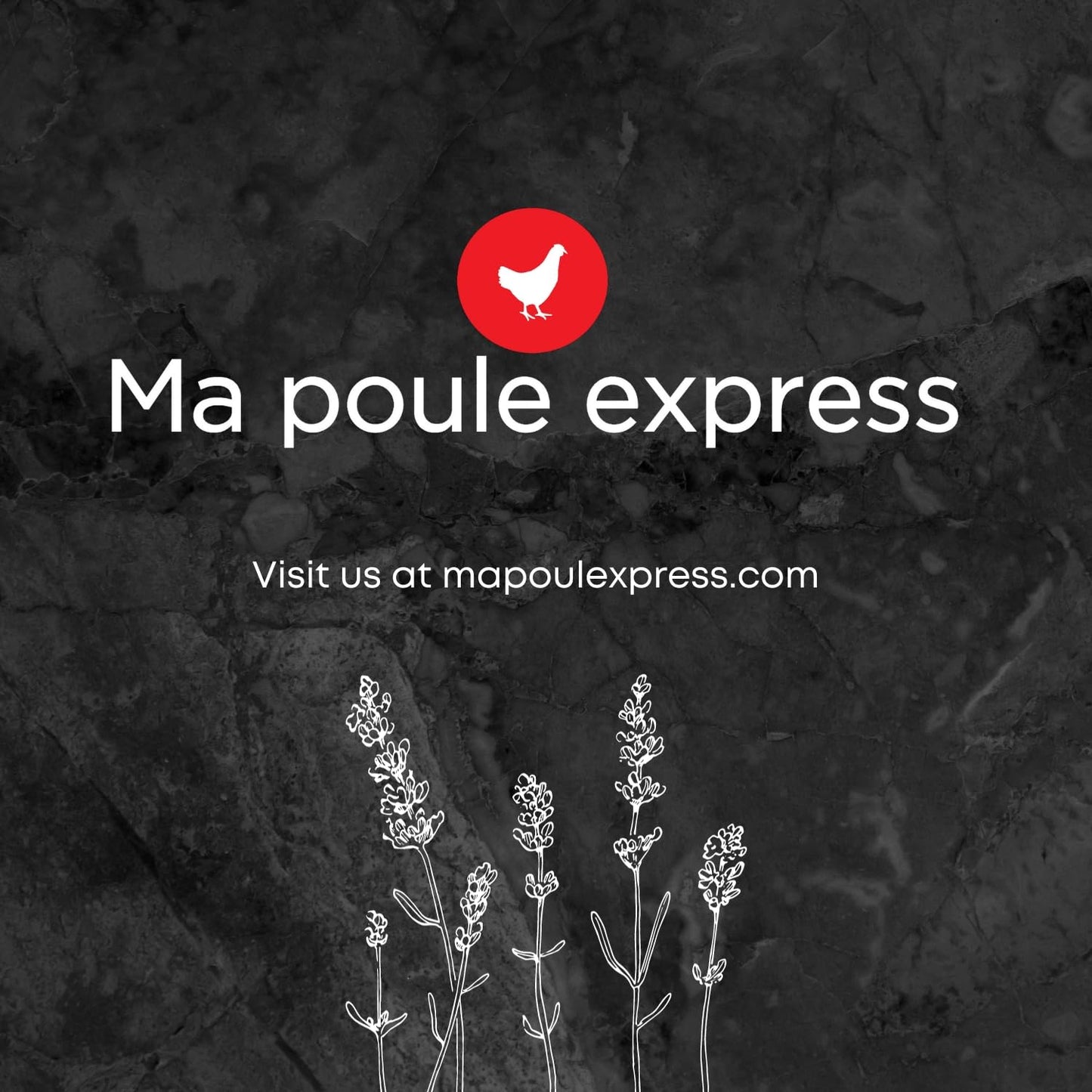 Ma Poule Express 2 lbs (0.9 kg) Dried Mealworms for Wild Birds, Mealworms for Chickens, Ducks | Approx. 32,000 Mealworms | High Protein Treat | All-Natural Chicken Feed Supplement