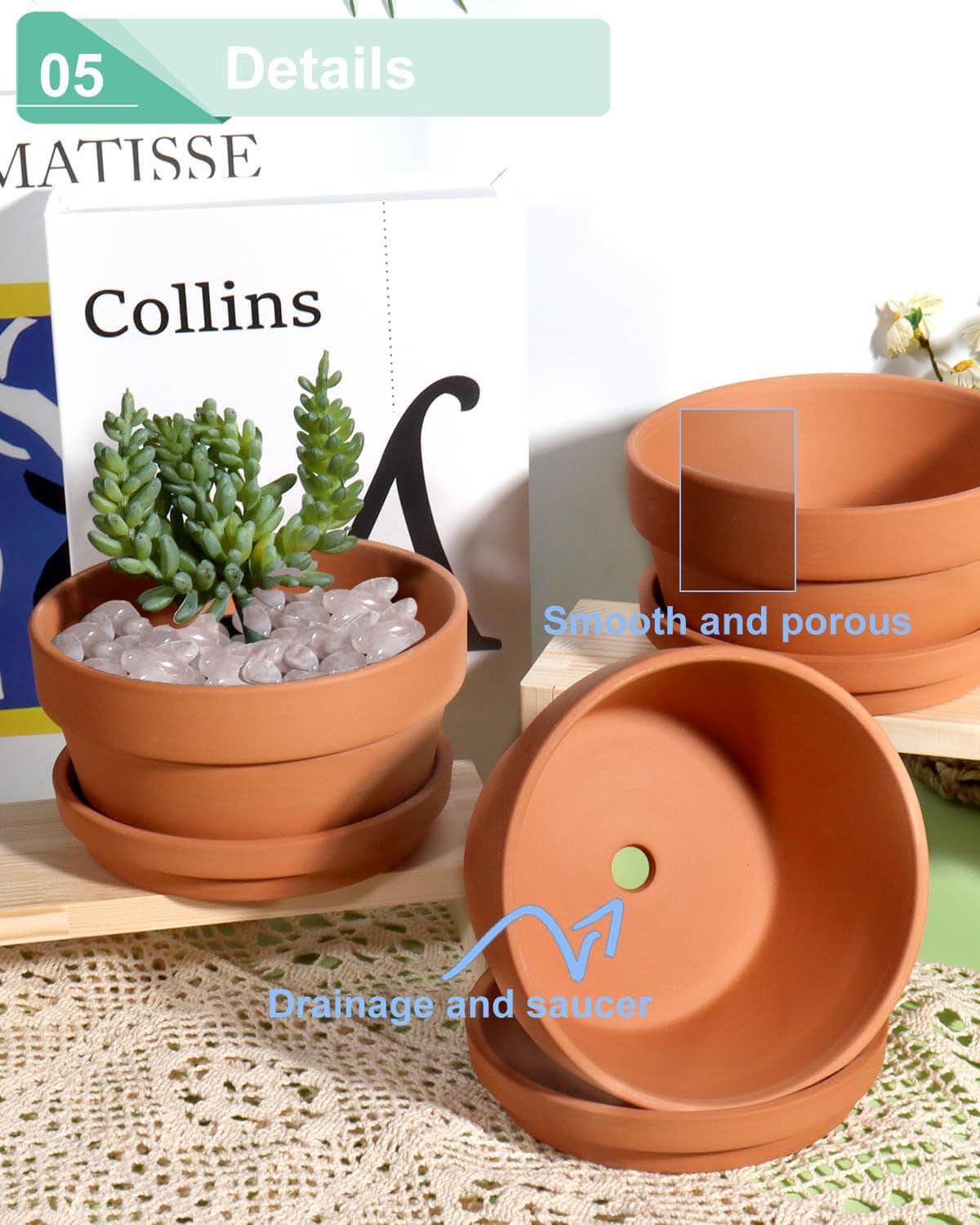 5.7 Inch Terracotta Shallow Succulent Pot - 6 Pack Terra Cotta Clay Pots with Saucer, Cacuts Terra-Cotta Indoor and Outdoor Planters with Drainage Hole