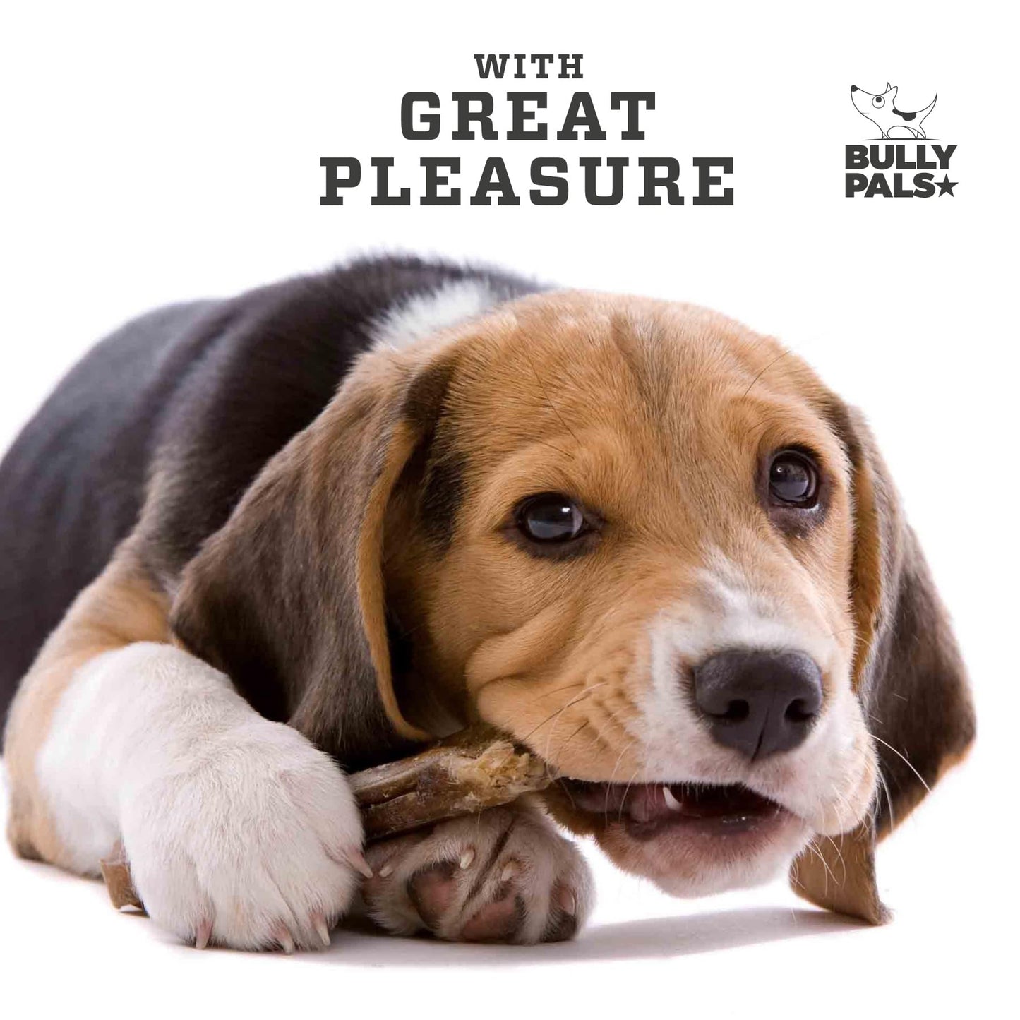 BULLY PALS - 12 inch Beef Collagen Sticks - Dog Dental Chew - 8 Pack - Odour Free, Rawhide Free, Long Lasting Alternative to Bully Sticks, All Natural, Protein Rich