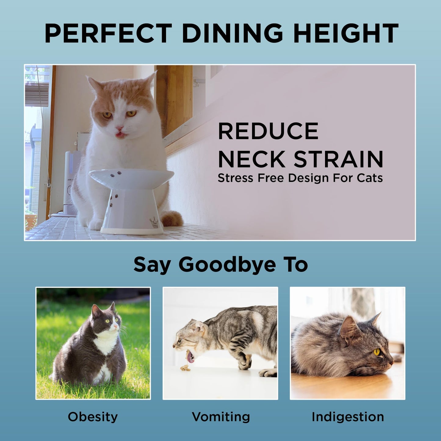 Necoichi Extra Wide Raised Cat Food Bowl, Elevated, Prevent Neck & Whisker Fatigue, Dishwasher and Microwave Safe, No.1 Seller in Japan! (Cat, Extra Wide)