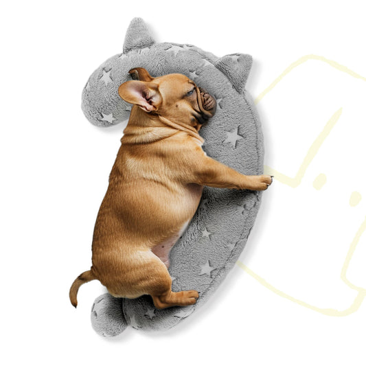 Calming Glow in The Dark Dog Pillow - Soft Question Mark Shape for Dogs, Kids, Adults - Washable, Cozy Body Pillow Bed (M Gray)