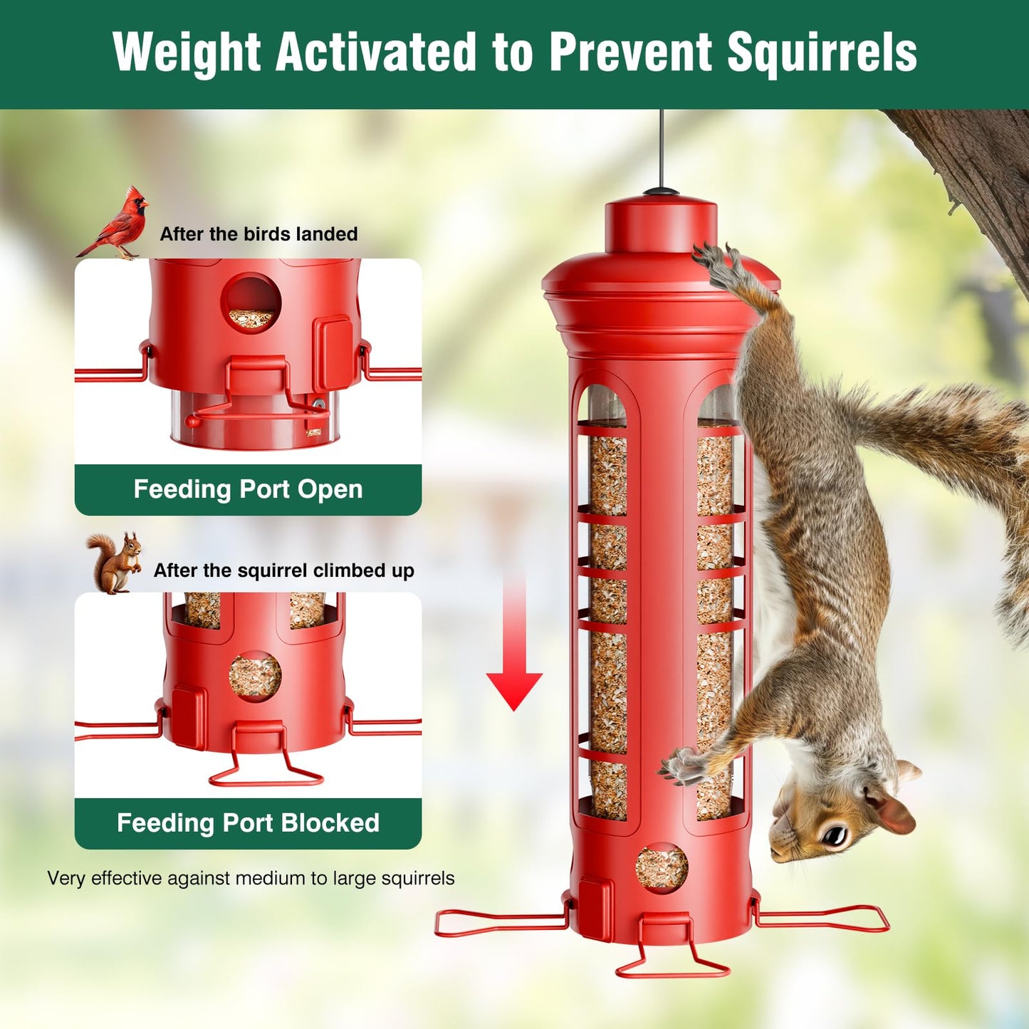 Yarbirder Squirrel Proof Metal Bird Feeder, Removable Base for Cleaning, Weight Activated Perches, 3 Lbs Capacity, Weatherproof & Rust Proof, Outdoor Hanging Bird Feeder for Cardinals, Finches