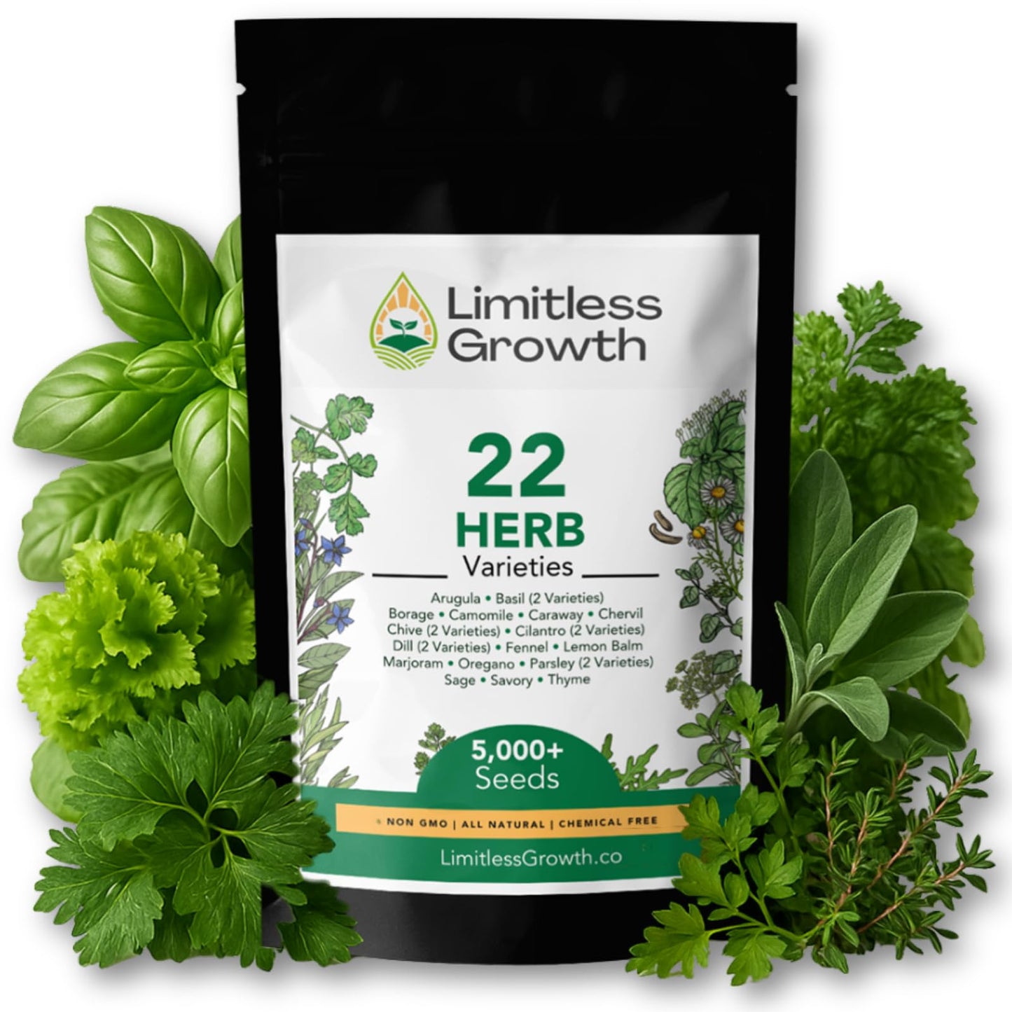 Herb Seed Pack | 22 Herb Varieties for Planting Canadian Climates | Arugula, Basil, Borage, Chamomile, Caraway, Chervil, Chive & More | Beginner-Friendly Indoor Herb Garden Kit | Limitless Growth