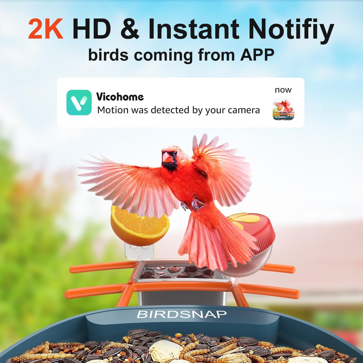 birdsnap® PAV- Smart Bird Feeder with Camera Solar Powered, 64GB Card & 2K HD Record Video Bird Camera Live with 5 DIY Add-ons, AI Identify Auto Capture, Ideal Gift for Birds Lover