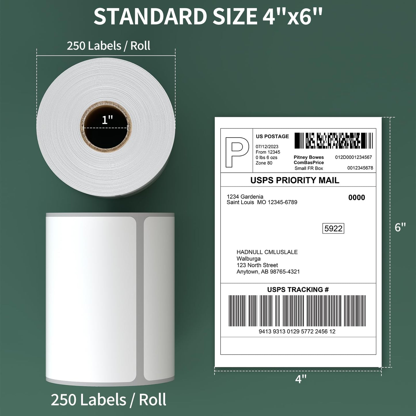 4”x6” Thermal Labels Shipping Labels, BESTIKER 4”x6” Direct Thermal Labels 4 Rolls, Compatible Zebra 2844 Rollo Thermal Printer Label 4x6 with Perforated, 250 Labels/Roll, 1” Core, Total 1000 Labels