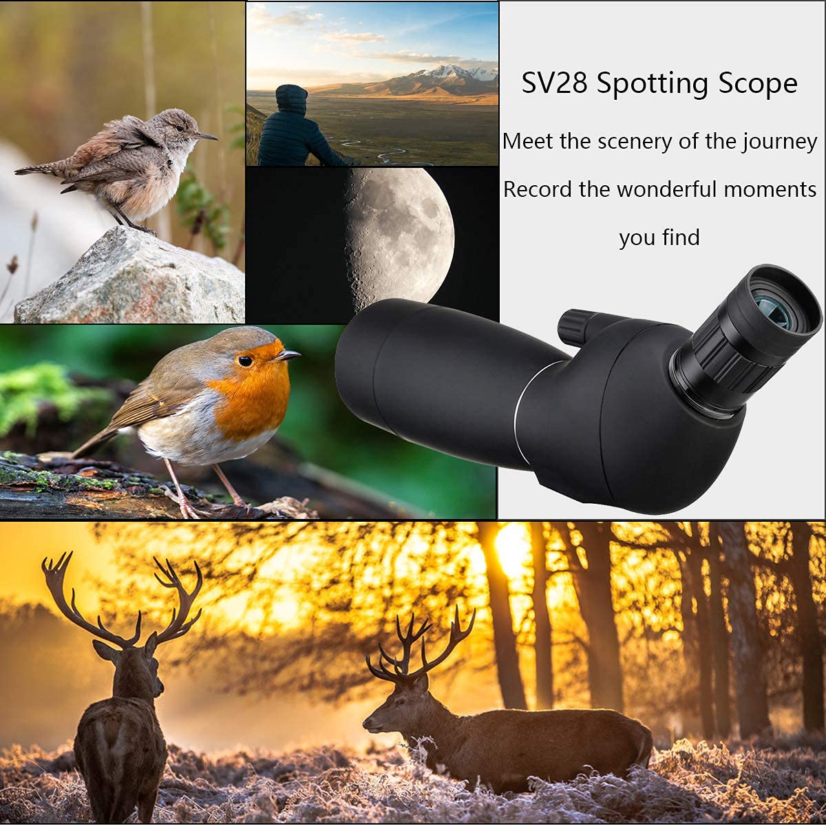 SVBONY SV28 Spotting Scopes with Tripod, Angled 25-75x70mm Spotter Scope with Phone Adapter, Waterproof Fogproof Spotting Scope for Bird Watching, Target Shooting, Wildlife Viewing, Black