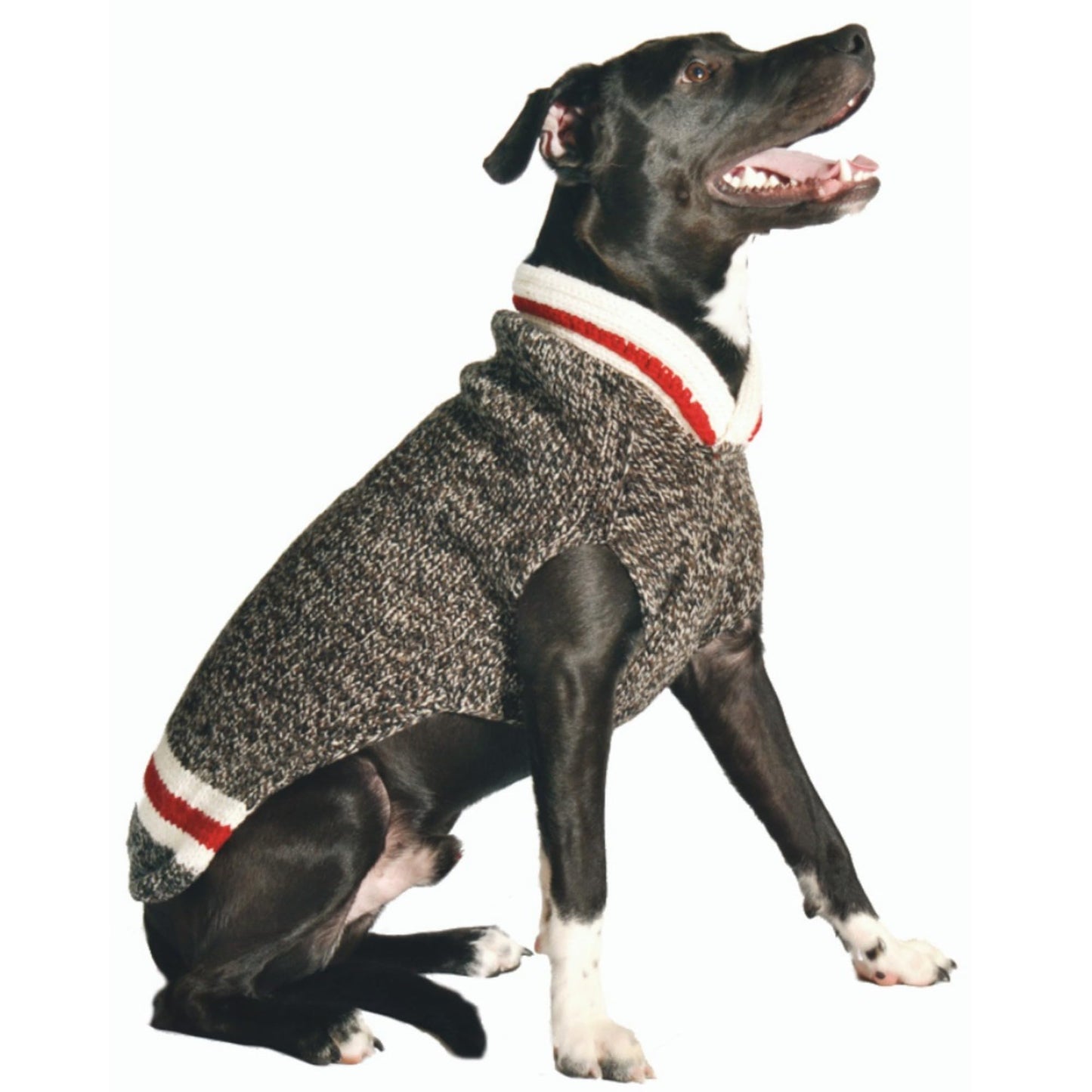 Chilly Dog Boyfriend Dog Sweater, X-Large