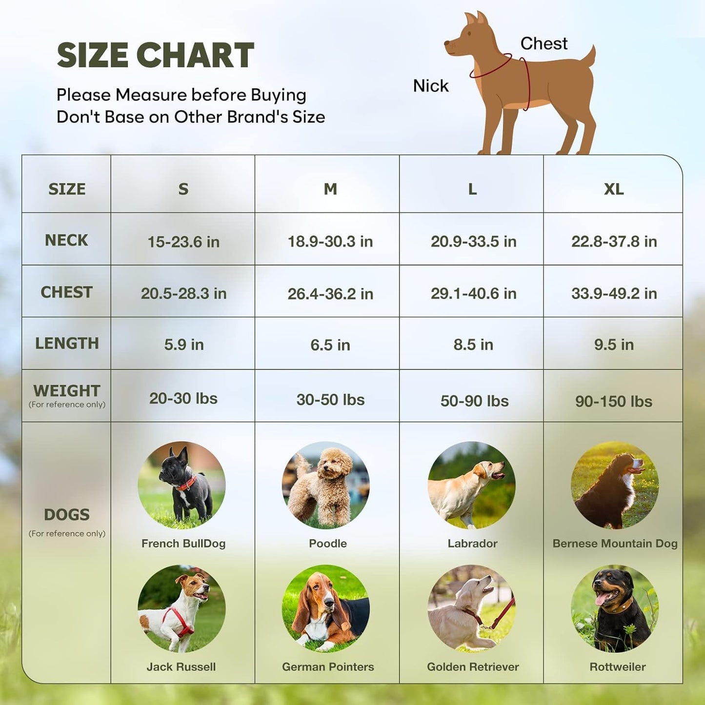 BiPawTi Light Up Dog Harness No Pull, LED Dog Harness Rechargeable/Reflective/4 Point Adjustable/High Visibility Lighted, Glowing Pet Vest Harness for Night Walking - Orange, XL