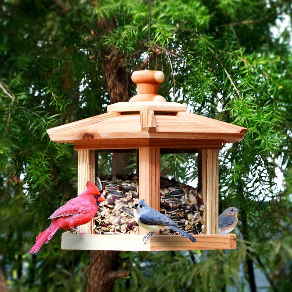 Solution4Patio Hexagon Shaped Gazebo Bird Feeder, USA Cedar, Mangeur d'oiseaux extérieur, Hollow Mesh Tray, Large Capacity, Easy to Clean & Fill, 9.6" Dia. X 8.7" Tall