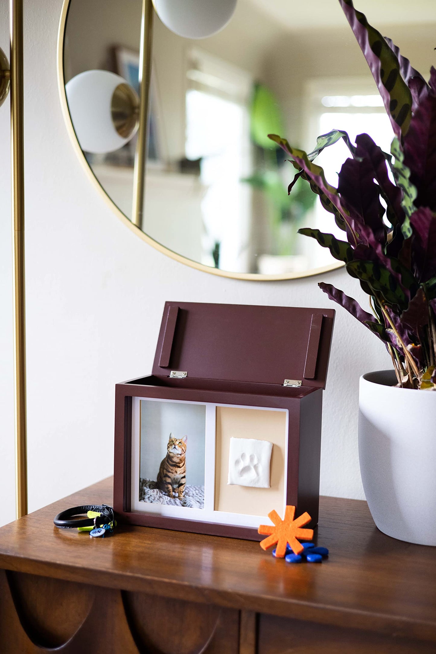 Pearhead Pet Memorial Photo Memory Box and Paw Print Kit, Dog or Cat Pawprint DIY Kit, Pet Urn or Keepsake Memory Box, Espresso