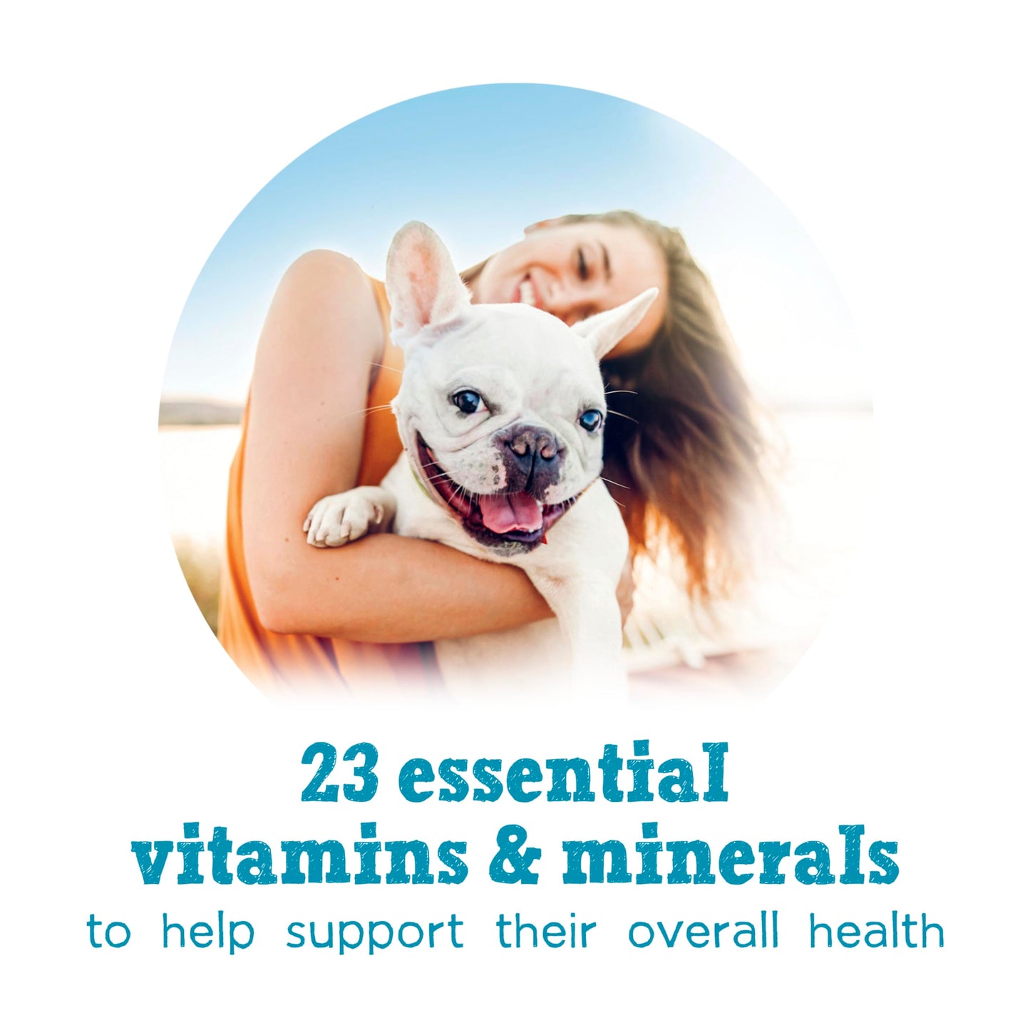 Beneful Incredibites Wet Dog Food, in Gravy with Real Beef - 85 g Can (24 Pack)