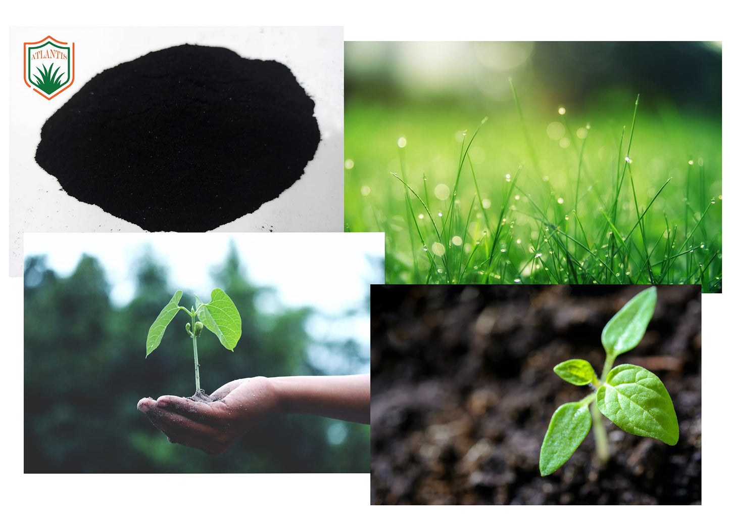 Atlantis 5-2 Humic Humate & Sea Kelp Combination, Soluble Concentrate, Canada, 454 g, 1 lb, Lawn and Plant superfood