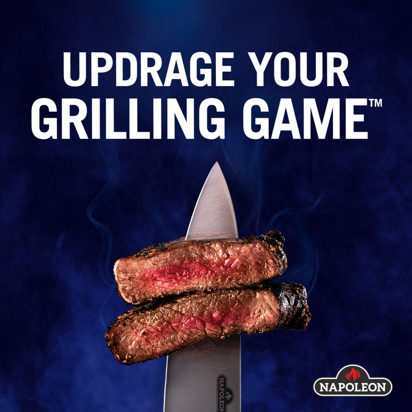 Napoleon Charcoal Starter (67800)