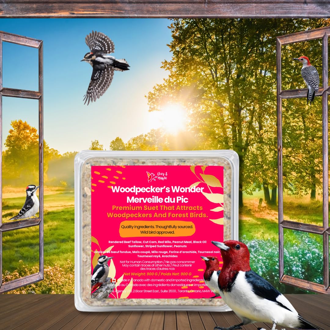 Chirp & Maple, Woodpecker’s Wonder, Suet for Wild Birds, Wild Bird Food for Woodpeckers (18-Pack), 5.4KG