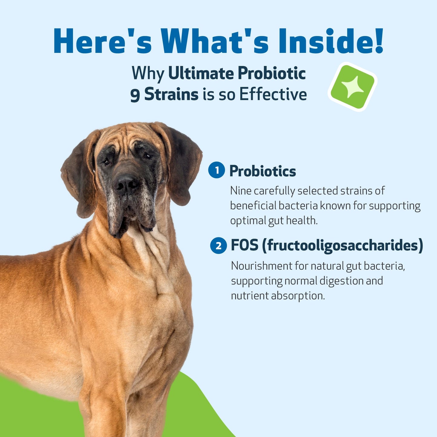 Pet Wellbeing Ultimate Probiotic 9 Strains with Prebiotics for Dogs - Supports the Gut Microbiome and Digestion, Immune System Care, Urinary Tract Health, FOS, 2.5 billion CFU - 5.64 oz (160 g) Powder