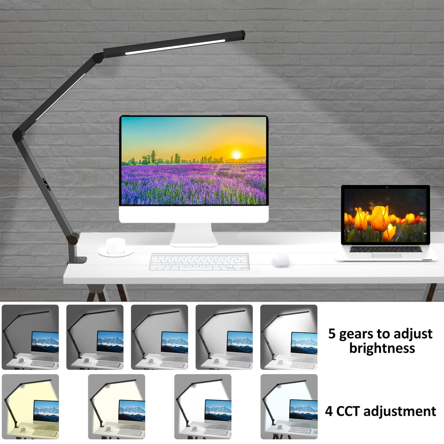 LED Desk Lamp with Clamp, Architect Desk Lamp with Dual Light and Adjustable Swing Arm, Clip-on Eye-Care 4 CCT Modes & 5 Brightness Levels Table Light Modern Desk Light for Dorm Home Office