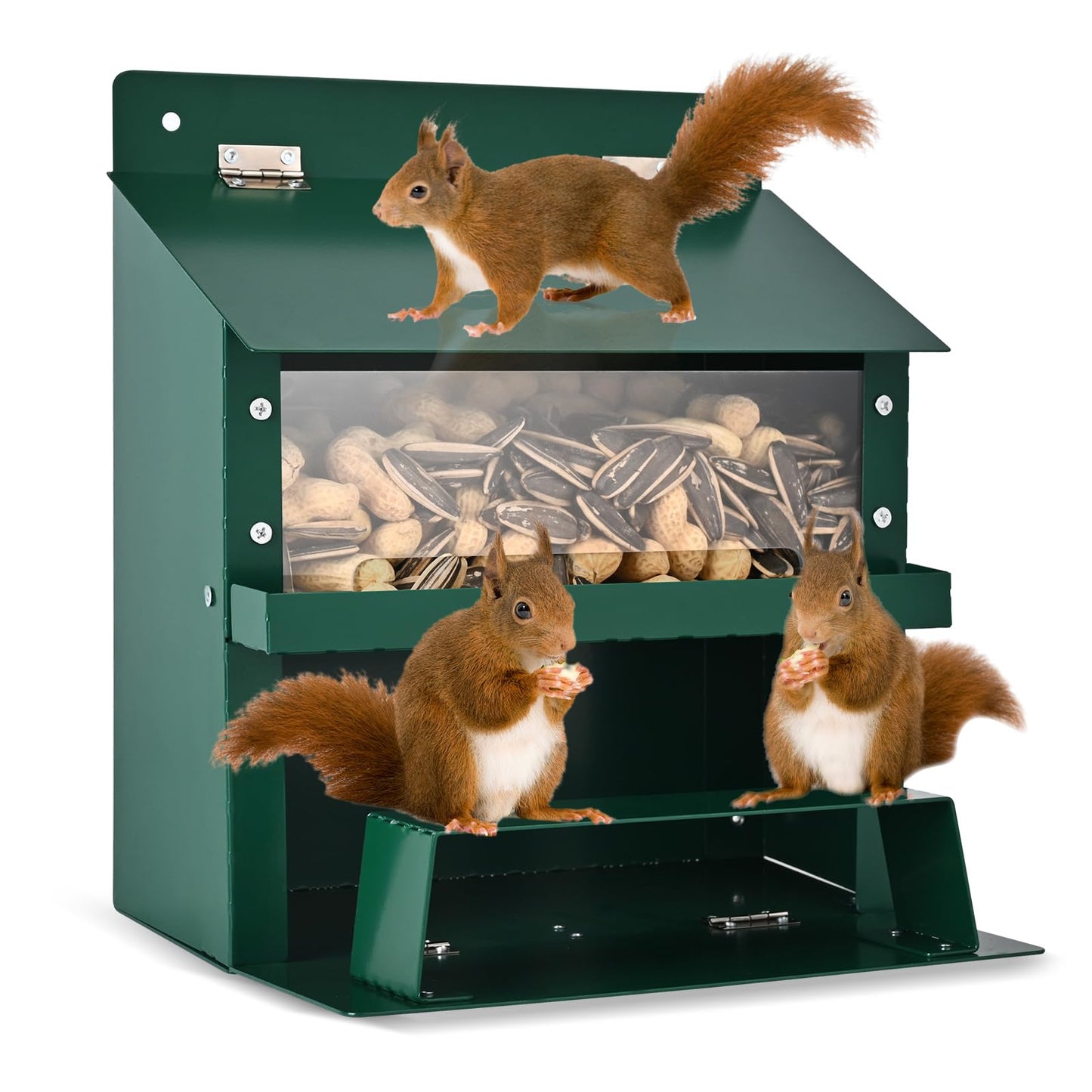 Squirrel Feeders for Outside, Metal Squirrel Feeder with Flip Lid, Large Transparent Bin, Outdoor Hanging Squirrel Feeder for Squirrel, Chipmunks, Wildlife, Great Gift for Mom & Nature Lovers