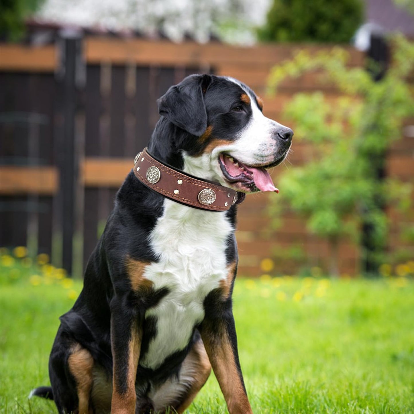 Leather Dog Collar for Large Medium Dogs, Heavy Duty 2 Inches Wide Dog Collars, Thick, Strong, Luxury and Studded Collar for Dogs Brown(19.5“-23.5”)