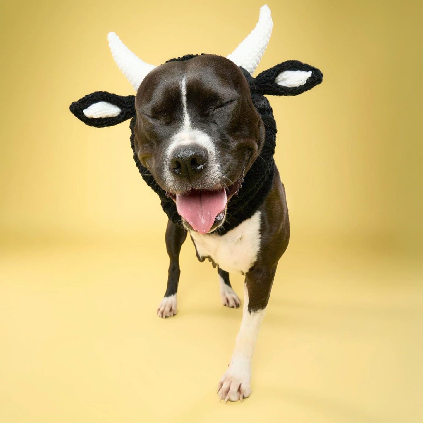 Zoo Snoods The Original Knit Bull Dog Snood, Large, Black
