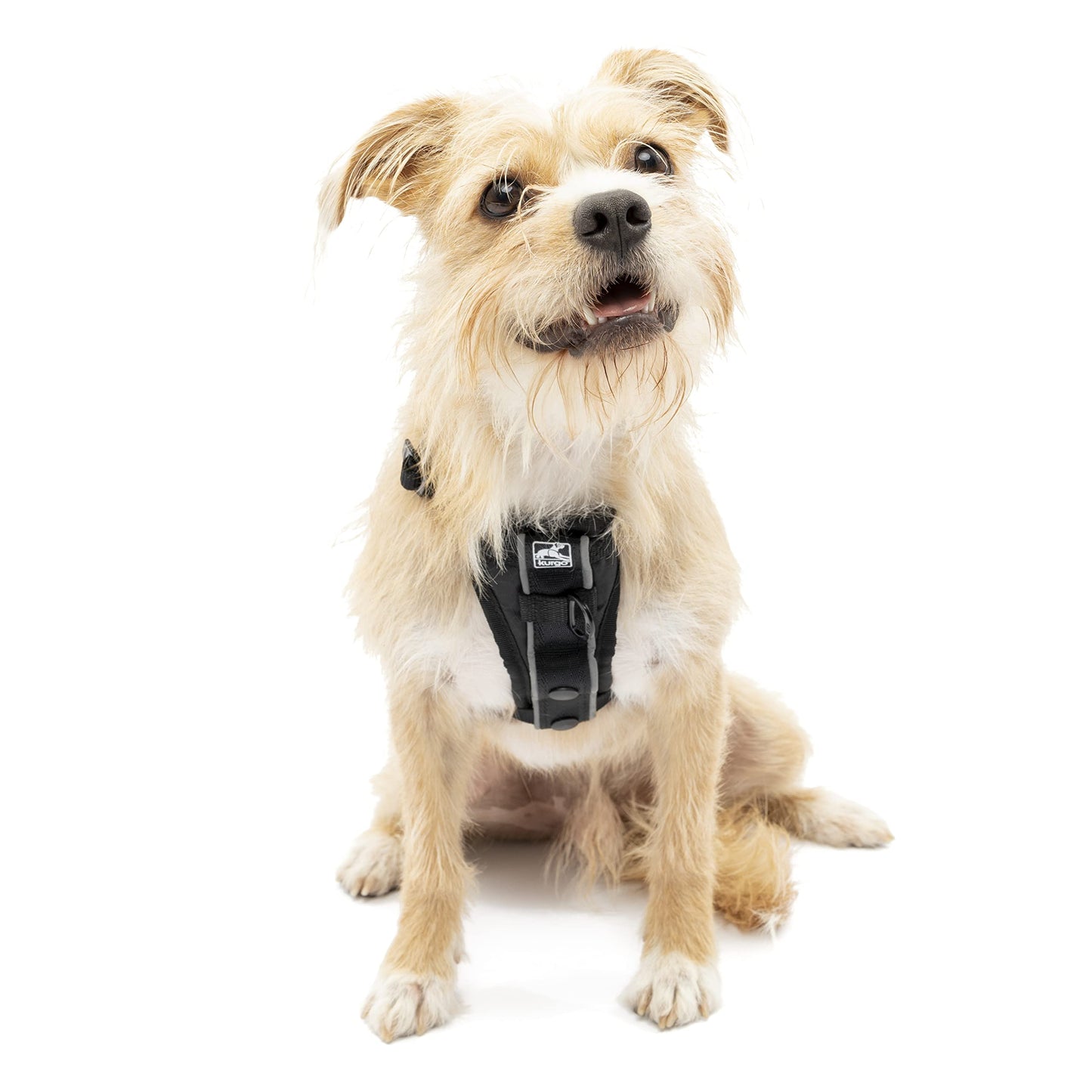 Kurgo Tru-Fit(TM) Smart Dog Harness, Black, Extra Small