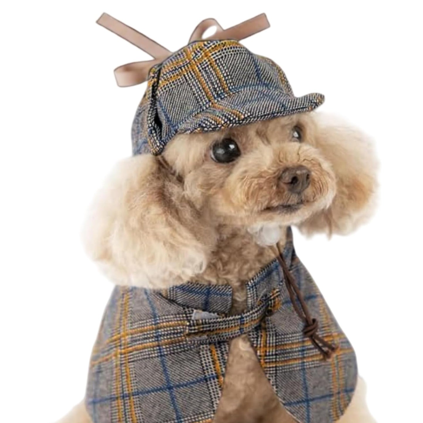 Dog Costume-Cute Detective Pet Clothes Set Halloween Cosplay Party Outfit Winter Fashion Cape Cloak Hat for Small Medium Dog & Cat Kitten (Rec wt.9-12lb Medium)