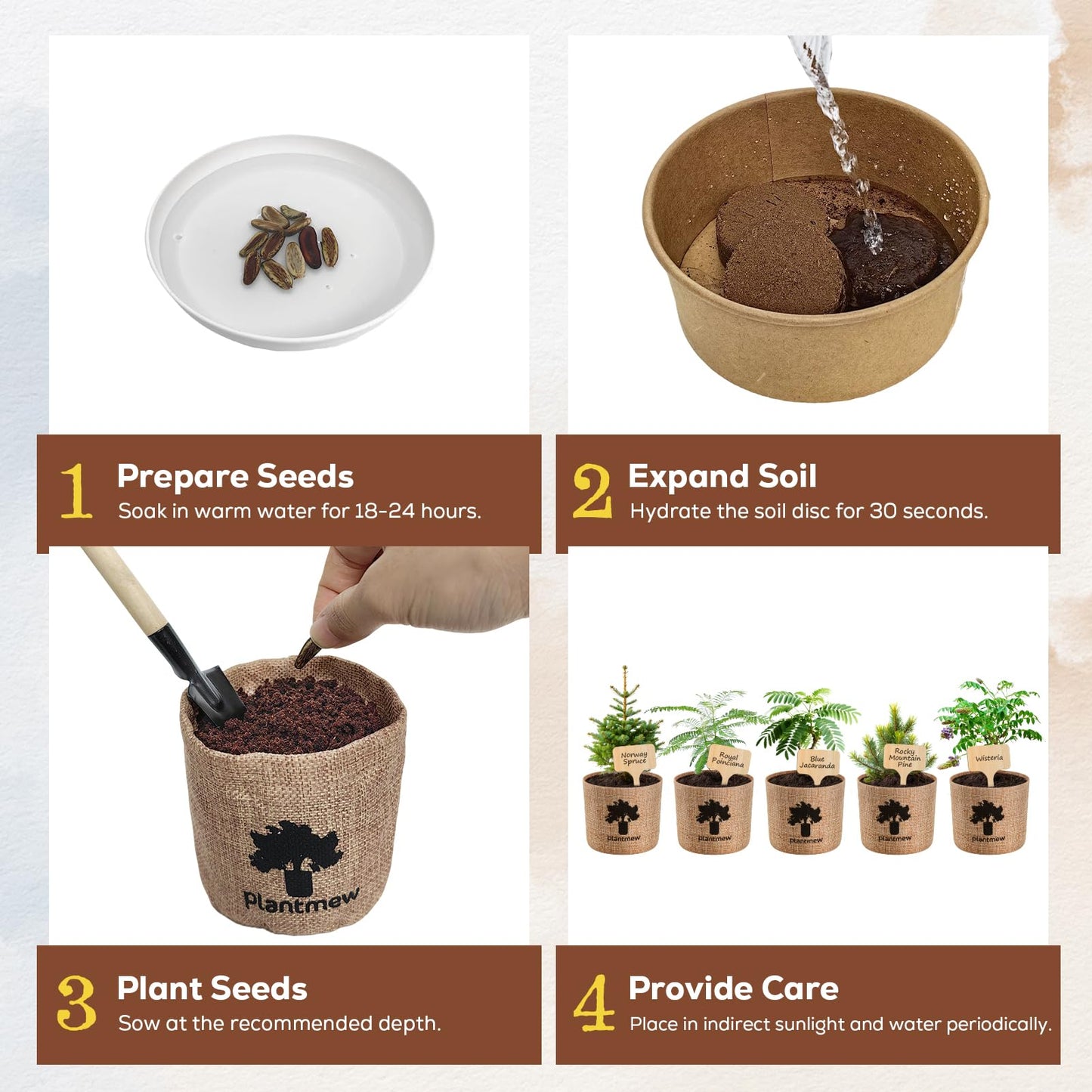 Crafts for Adults - Bonsai Tree Starter Kit with 5 Unique Japanese Trees | Complete DIY Gardening Kit for Birthday | Gifts for Women, Men, Mom, Dad, Plant Lovers