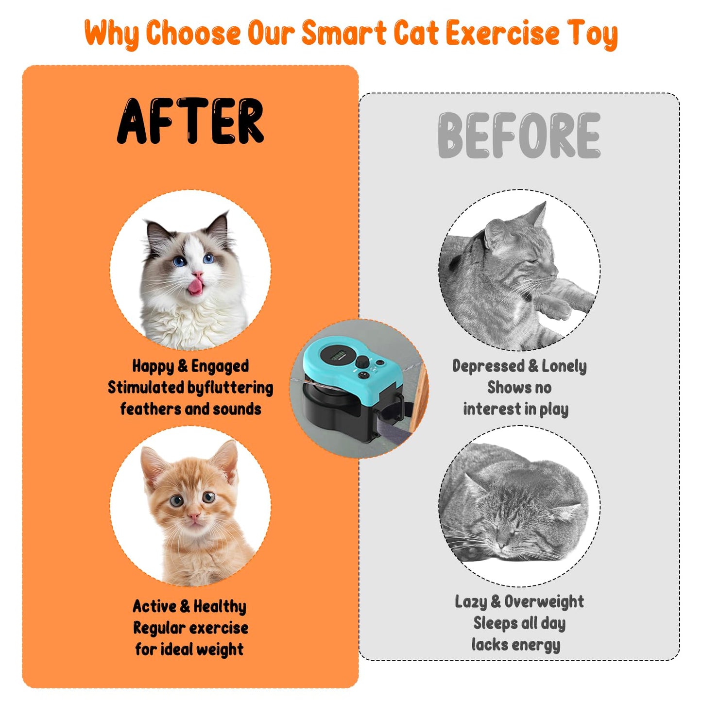 Homegroove Interactive Cat Toys for Indoor Cats, Auto/Remote Control DIY Cat Mouse Hunting Treadmill, Adjustable Speed Cat Chase Toy for Fitness, Playtime & Energy Release (Blue)