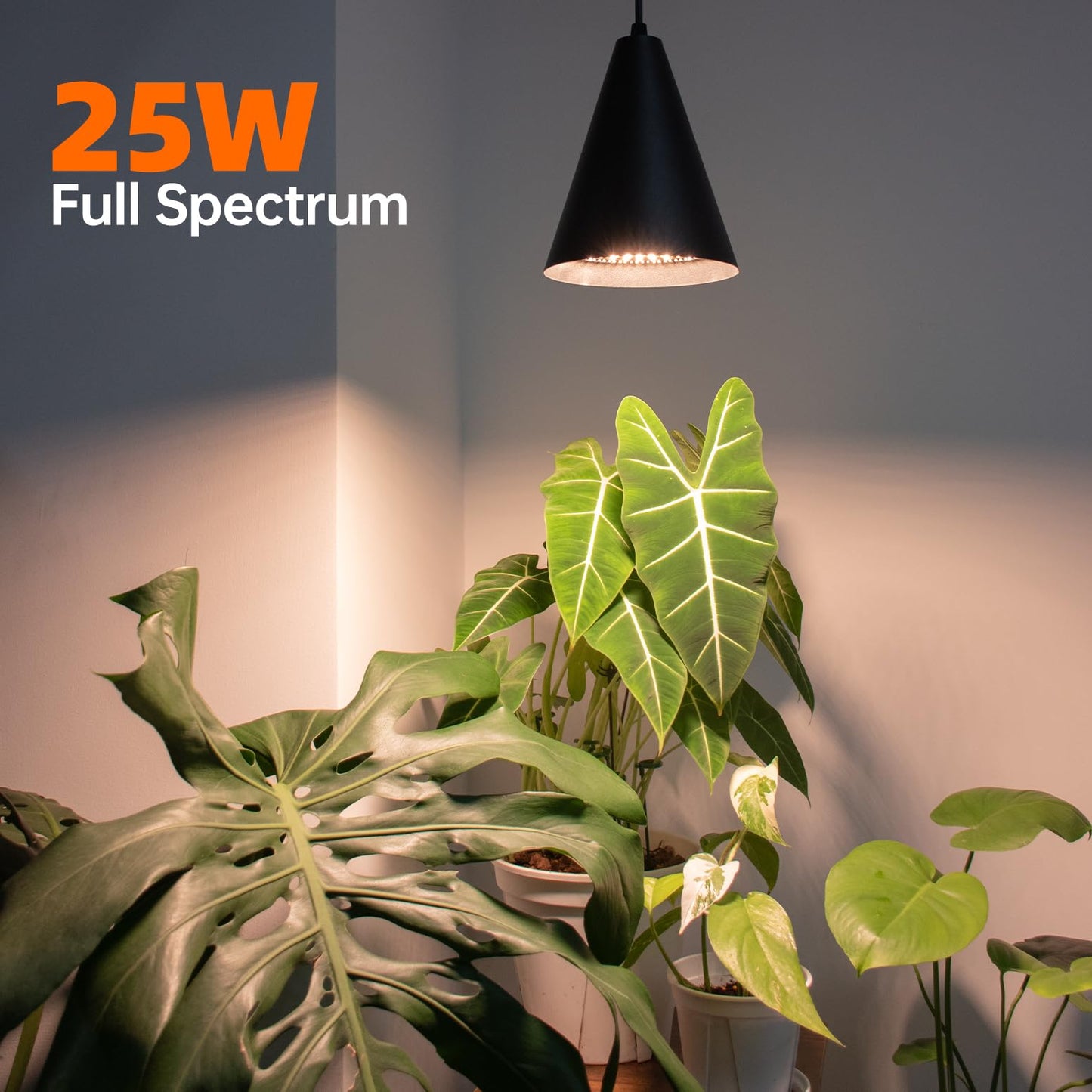 Bstrip Hanging Grow Lights, Full Spectrum Hanging Plant Lights for Indoor Plants, 25W Black Grow Light Bulbs with 16.4FT Power Cord,3000K Grow Light for Indoor Plant with Timer for Garden,Flowers